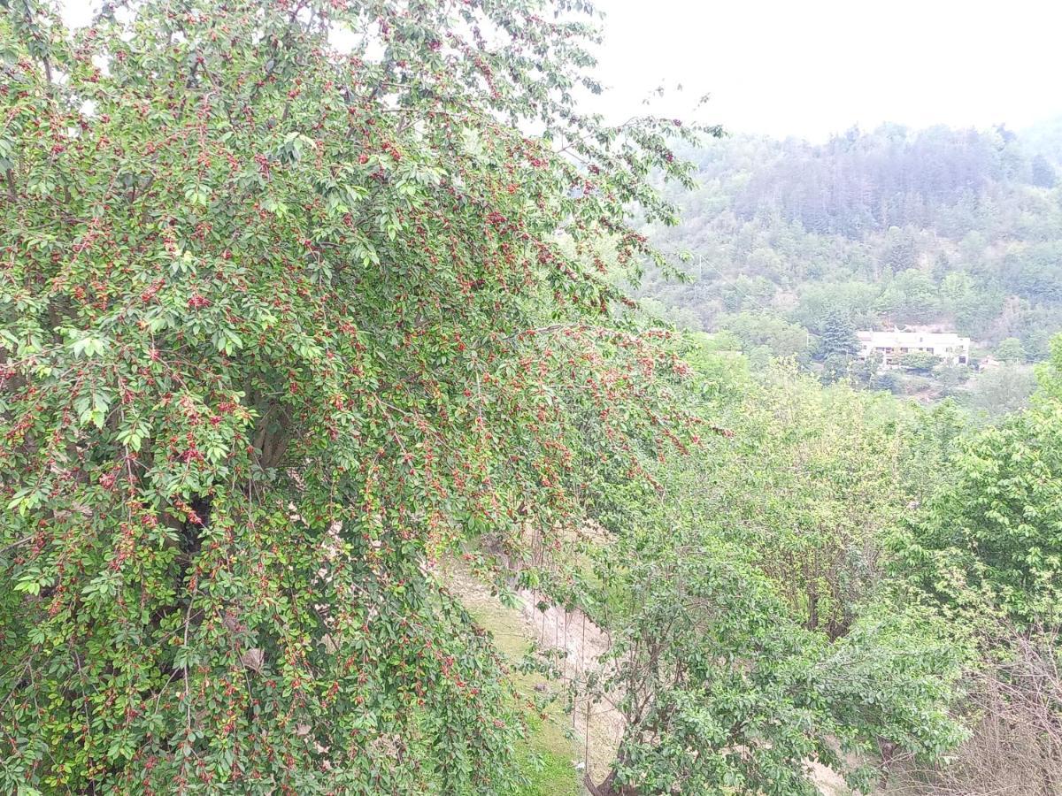 La Contea *